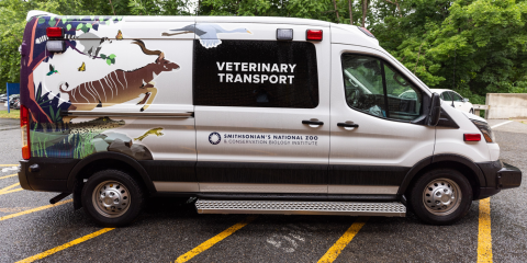 Side view of a large white veterinary transport vehicle (a large truck with a leaping kudu printed on the side).